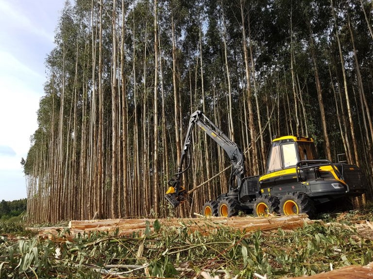 Ponsse harvester operating in a forest